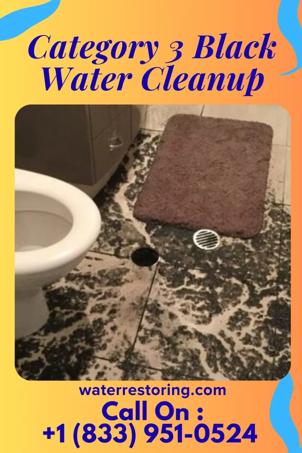Category 3 Black Water Cleanup in Richland, MO