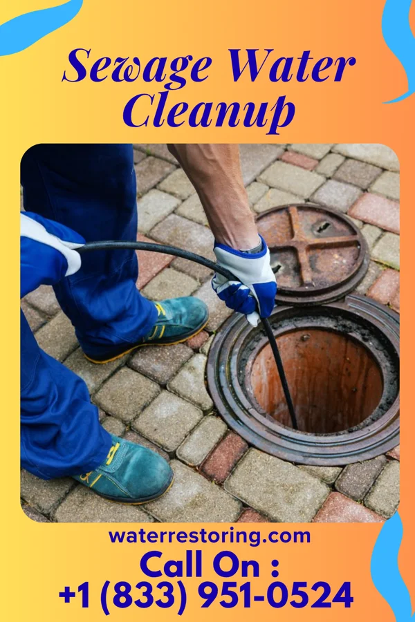 Sewage Water Cleanup in Richland, MO
