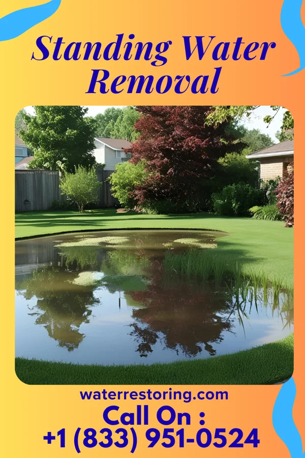 Standing Water Removal in Richland, MO